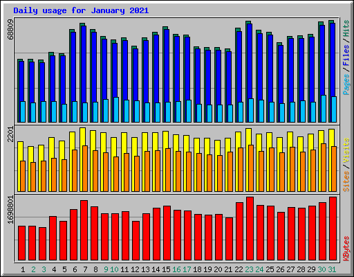 Daily usage for January 2021