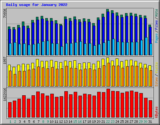 Daily usage for January 2022