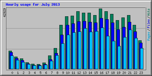 Hourly usage for July 2013