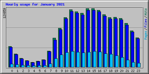 Hourly usage for January 2021