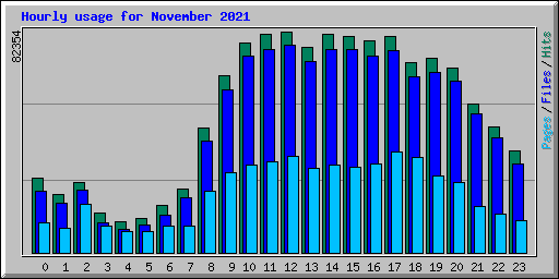 Hourly usage for November 2021