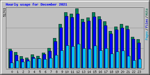 Hourly usage for December 2021