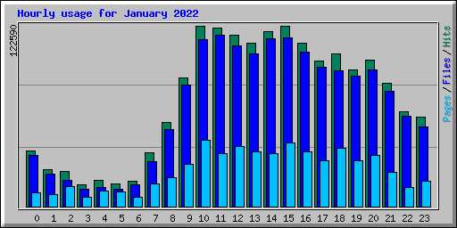Hourly usage for January 2022